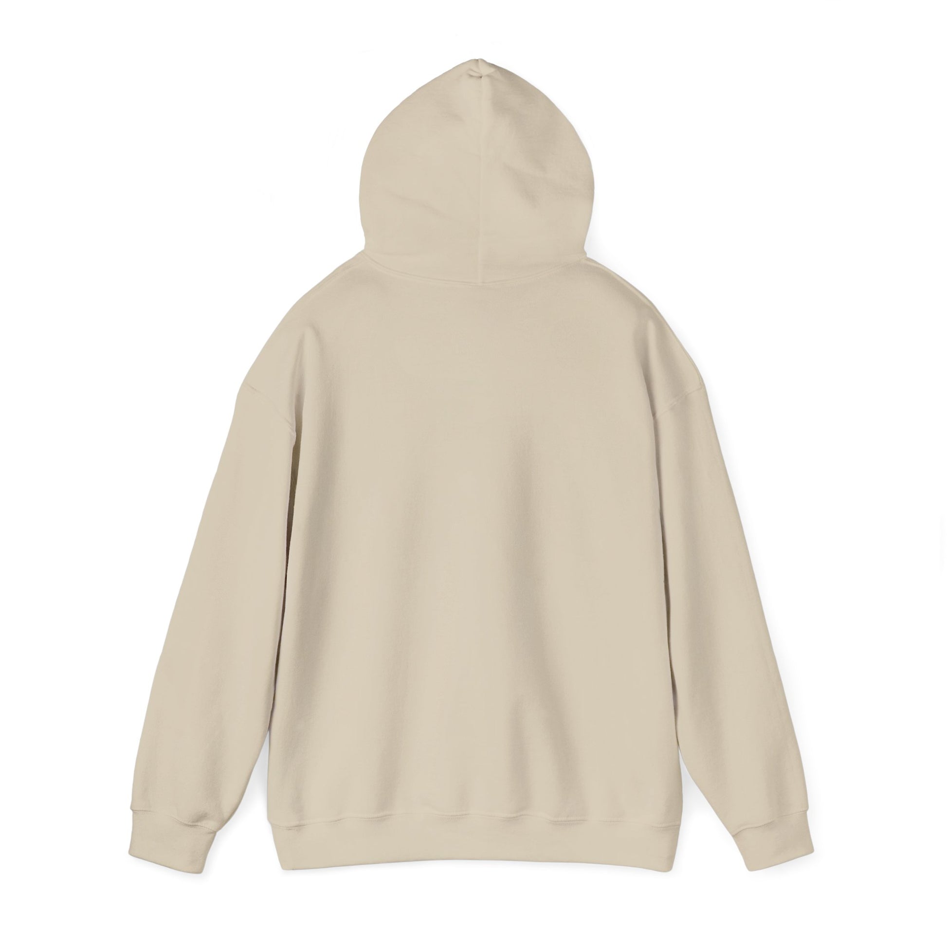 sand_hoodie_back